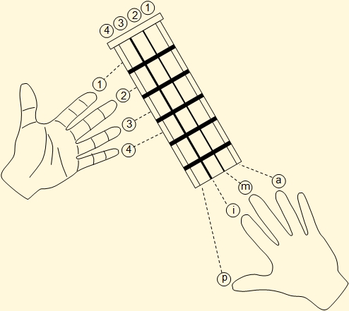 Relación entre digitación y diapasón en el ukelele