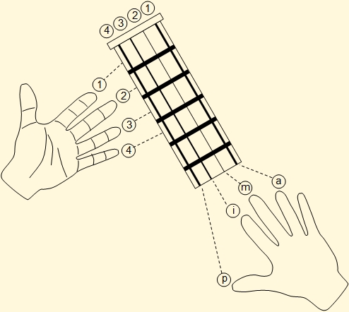 Relationship between fingering and fretboard in the venezuelan cuatro